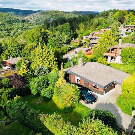 Dachsbau Villa Barbis Exterior foto